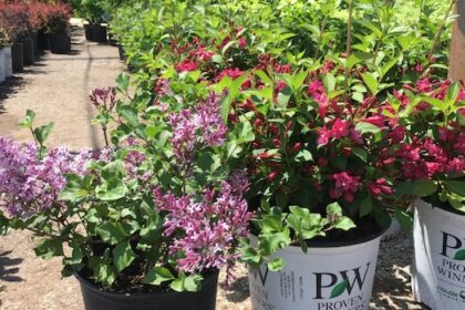 pei.-gardeners,-take-note:-your-plant-hardiness-zone-may-have-changed