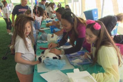 teddy-bears-under-medical-treatment-to-help-children-feel-less-intimidated-by-health-care