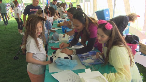 teddy-bears-under-medical-treatment-to-help-children-feel-less-intimidated-by-health-care