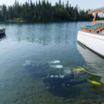 as-invasive-mussels-ravage-the-great-lakes,-lake-superior-is-the-last-holdout