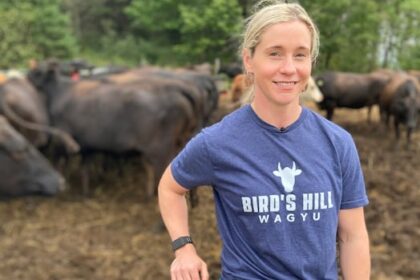this-nb.-farmer’s-got-beef-that-she-can’t-ship-to-customers-who-want-it
