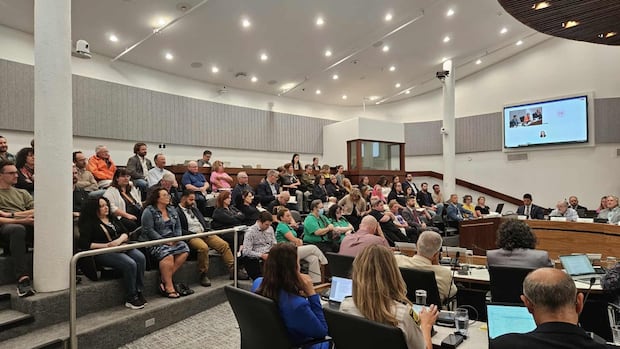 proposal-to-ban-homeless-encampments-in-some-areas-of-saint-john-wins-council-support