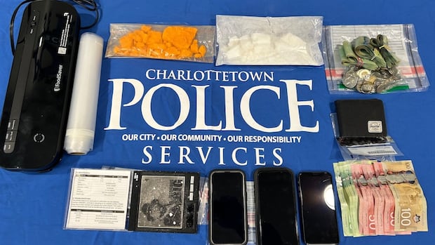 bc-man,-23,-pleads-guilty-to-trafficking-fentanyl-and-cocaine-on-pei.