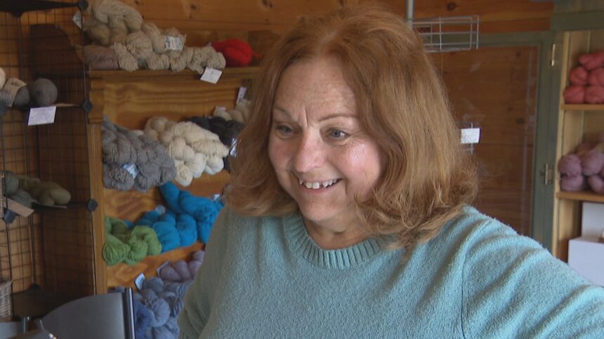 wasted-wool-being-turned-into-a-green-garden-product,-thanks-to-this-pei.-business
