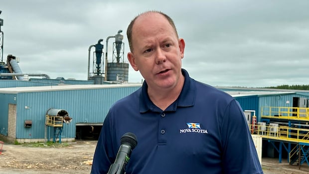 ns.-government-weighing-whether-to-bid-on-northern-pulp-assets