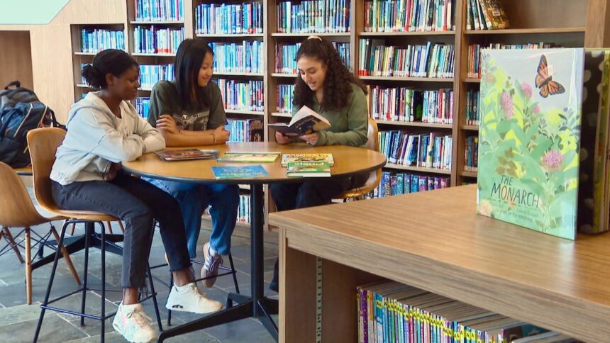 3-halifax-students-trying-to-make-multi-language-books-more-accessible