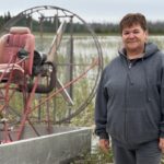 sask.-wild-rice-harvesters-desperate-for-solution-to-stop-‘devastating’-insect