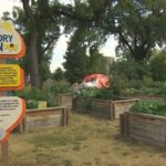 better-model-needed-to-deal-with-winnipeg-encampments,-housing-advocate-says