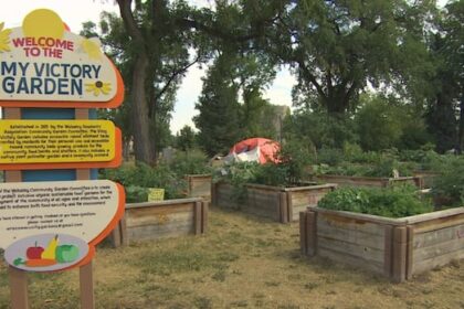 better-model-needed-to-deal-with-winnipeg-encampments,-housing-advocate-says