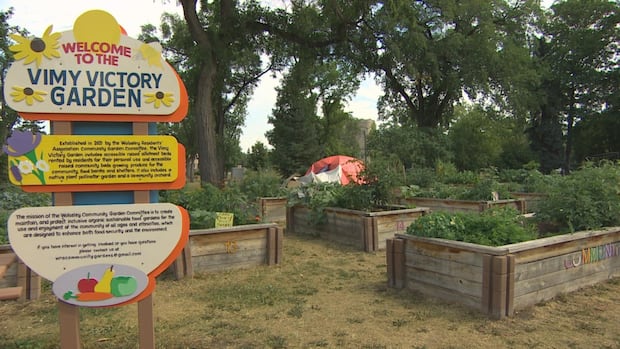 better-model-needed-to-deal-with-winnipeg-encampments,-housing-advocate-says