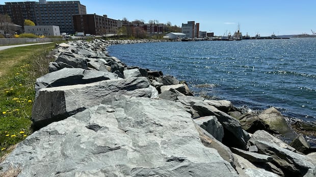 halifax-to-decide-this-month-on-regulating-infill-around-dartmouth-cove