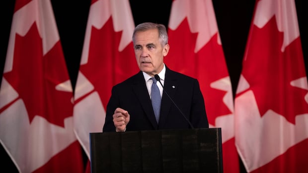 carney-says-diversifying-trade-relationships-with-europe,-asia-among-key-fall-objectives