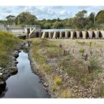 how-is-halifax-waters-mandatory-conservation-order-going-to-work?
