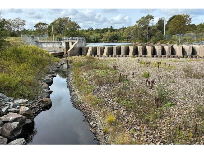 how-is-halifax-waters-mandatory-conservation-order-going-to-work?