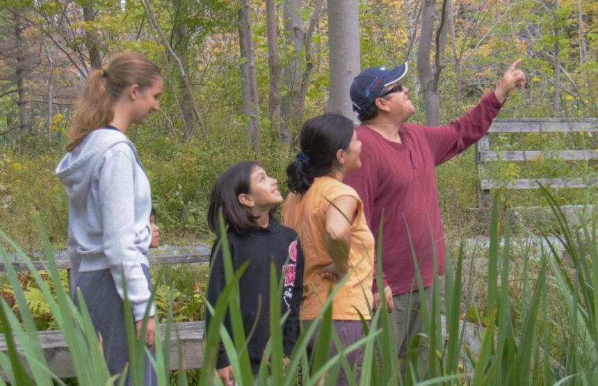 with-some-forest-bans-lifted,-nova-scotians-head-back-to-the-woods