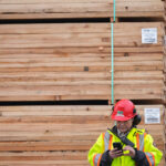 first-nation-in-bc.-and-logging-firm-want-walbran-valley-old-growth-blockade-to-end