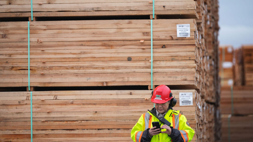 first-nation-in-bc.-and-logging-firm-want-walbran-valley-old-growth-blockade-to-end
