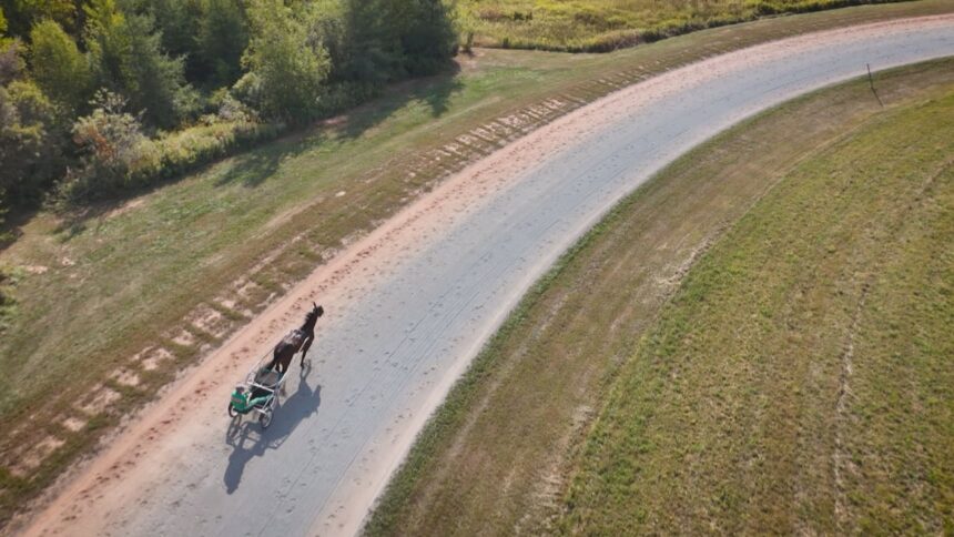 pei.-harness-driver-sets-new-record,-wins-9-of-14-races-in-one-night