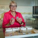this-sudbury-woman-discovered-a-fossil-in-the-1980s-now-its-been-named-after-her.