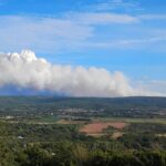 commentary:-glyphosate:-the-hidden-fuel-in-nova-scotias-forest-fire-crisis