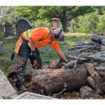 community-bands-together-to-repair-historic-trenton-cemetery