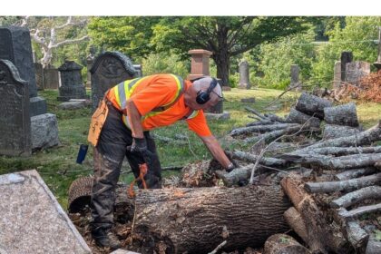 community-bands-together-to-repair-historic-trenton-cemetery