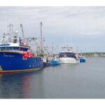 letter:-half-of-the-fisher-people-don’t-care-about-the-future-of-the-fishery,-only-what-they-can-catch-for-themselves
