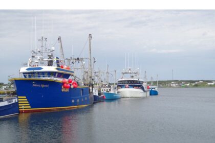 letter:-half-of-the-fisher-people-don’t-care-about-the-future-of-the-fishery,-only-what-they-can-catch-for-themselves