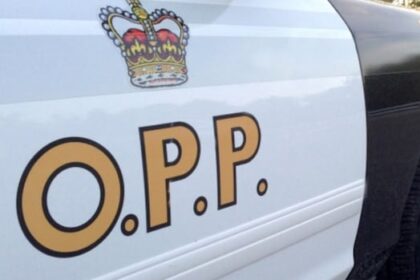 pickup-driver-killed-in-head-on-crash-with-transport-truck-on-highway-401-in-kingston
