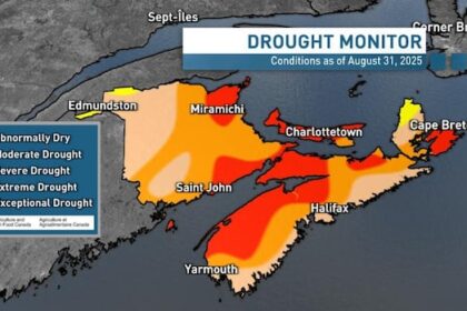 much-of-atlantic-region-officially-suffering-‘extreme-drought,’-agriculture-canada-confirms