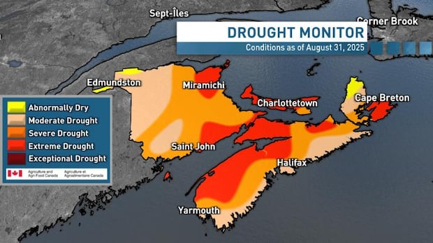 much-of-atlantic-region-officially-suffering-‘extreme-drought,’-agriculture-canada-confirms