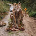 4-years-after-fairy-creek,-a-new-battle-over-bc.s-old-growth-forests-looms-in-the-walbran-valley