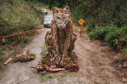 4-years-after-fairy-creek,-a-new-battle-over-bc.s-old-growth-forests-looms-in-the-walbran-valley