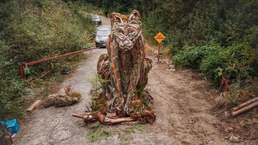 4-years-after-fairy-creek,-a-new-battle-over-bc.s-old-growth-forests-looms-in-the-walbran-valley