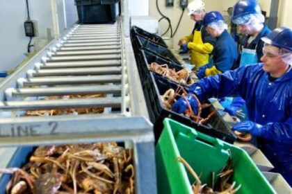 temporary-foreign-worker-in-cape-breton-concerned-about-program’s-future