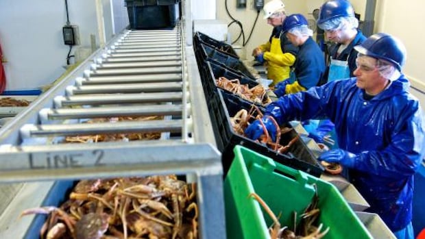 temporary-foreign-worker-in-cape-breton-concerned-about-program’s-future