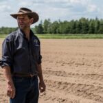 it’s-been-a-long,-dry-summer,-and-it’s-taken-a-toll-on-new-brunswick-farmers
