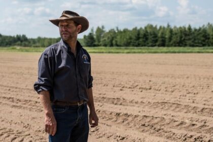 it’s-been-a-long,-dry-summer,-and-it’s-taken-a-toll-on-new-brunswick-farmers
