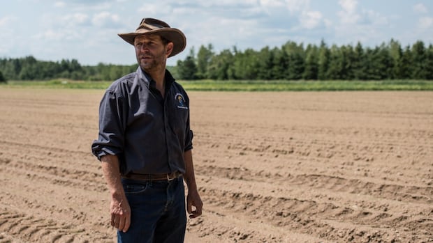 it’s-been-a-long,-dry-summer,-and-it’s-taken-a-toll-on-new-brunswick-farmers