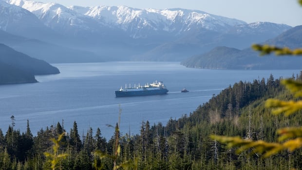 feds-defend-recommending-‘nation-building-projects’-already-far-along-in-development