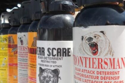 2-injured-after-being-hit-with-bear-spray-at-kingston-fair