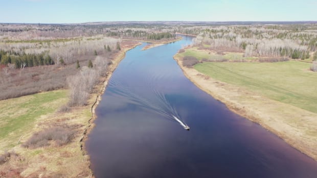 plunging-salmon-pool-prices-highlight-stock’s-decline,-anglers-say