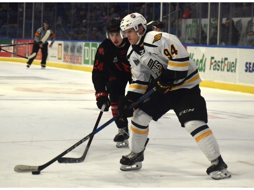 cape-breton-eagles-roster-brings-new-identity-of-speed,-skill-into-qmjhl-season