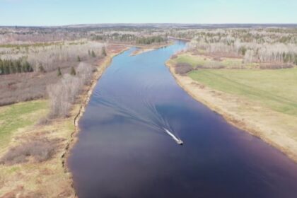 miramichi-tributary-salmon-lease-triggers-bidding-war,-despite-decline-of-species