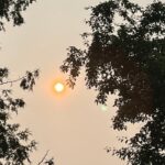 climate-crisis-is-the-top-health-threat-this-century,-says-outaouais-network