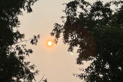 climate-crisis-is-the-top-health-threat-this-century,-says-outaouais-network