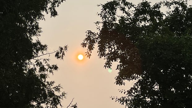 climate-crisis-is-the-top-health-threat-this-century,-says-outaouais-network