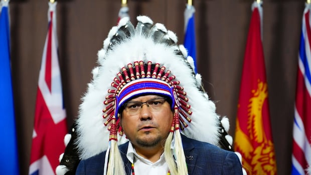 afn,-first-nations-leaders-in-manitoba-concerned-over-representation-on-major-projects-advisory-council