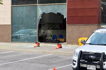 ontario-pushes-for-stricter-parking-rules-for-daycares-following-deadly-crash