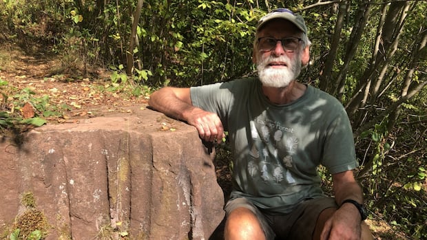 new-wilderness-park-opening-up-historic-quarry-to-sackville-nature-lovers
